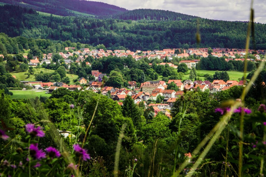 Wunderschönes Zella-Mehlis, Thüringer Wald, Wandern, Radfahren, Natur pur, komfortabel Wohnen in der Ferienwohnung FLAIR