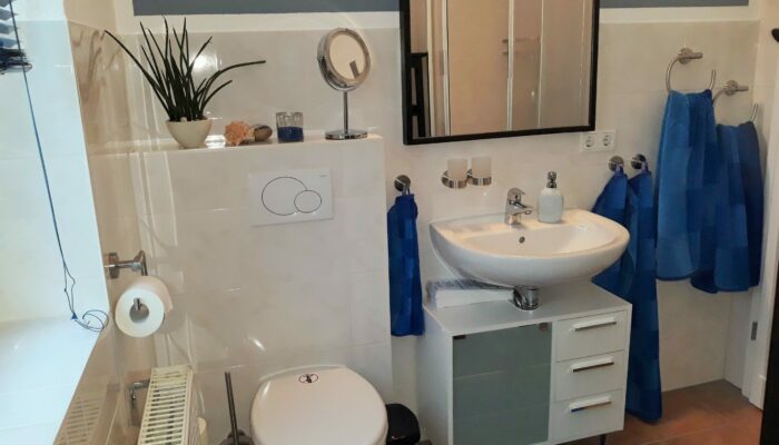 Ferienwohnung FLAIR Bad Zella-Mehlis Ferienwohnung FLAIR Bad